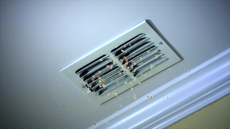 Best Air Duct Cleaning Near Me in Kinder, LA
