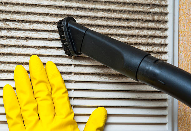 Best Home Air Vent Cleaning  in Kinder, LA